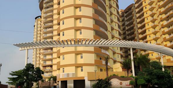 Rise Organic Homes